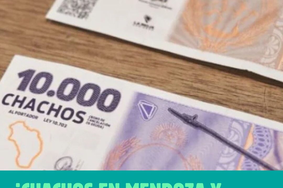 Chachos: La Rioja avanza para sumar comercios en Córdoba y Mendoza