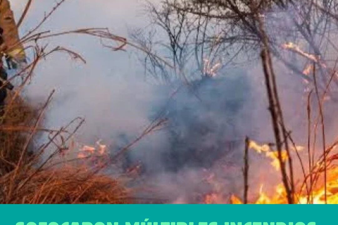 Incendios forestales en La Rioja: el Zonda desató cuatro focos