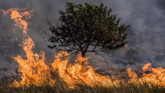 Incendio en Pagancillo: cortes de luz y alerta en el Barrio La Banda
